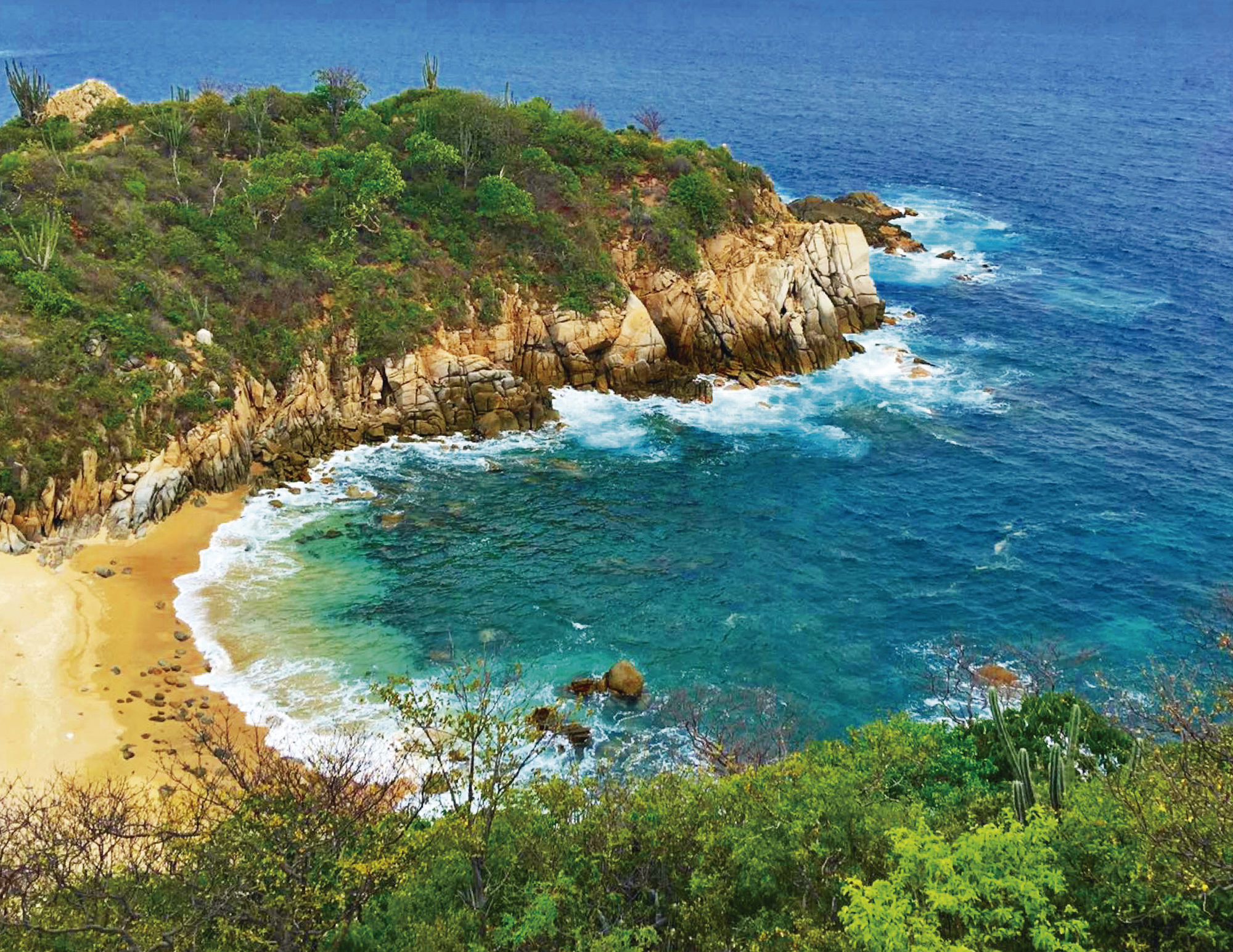 HOTEL ISLA NATURA BEACH HUATULCO 5* (Mexico) - from US$ 133 | BOOKED